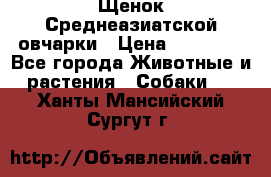 Щенок Среднеазиатской овчарки › Цена ­ 35 000 - Все города Животные и растения » Собаки   . Ханты-Мансийский,Сургут г.